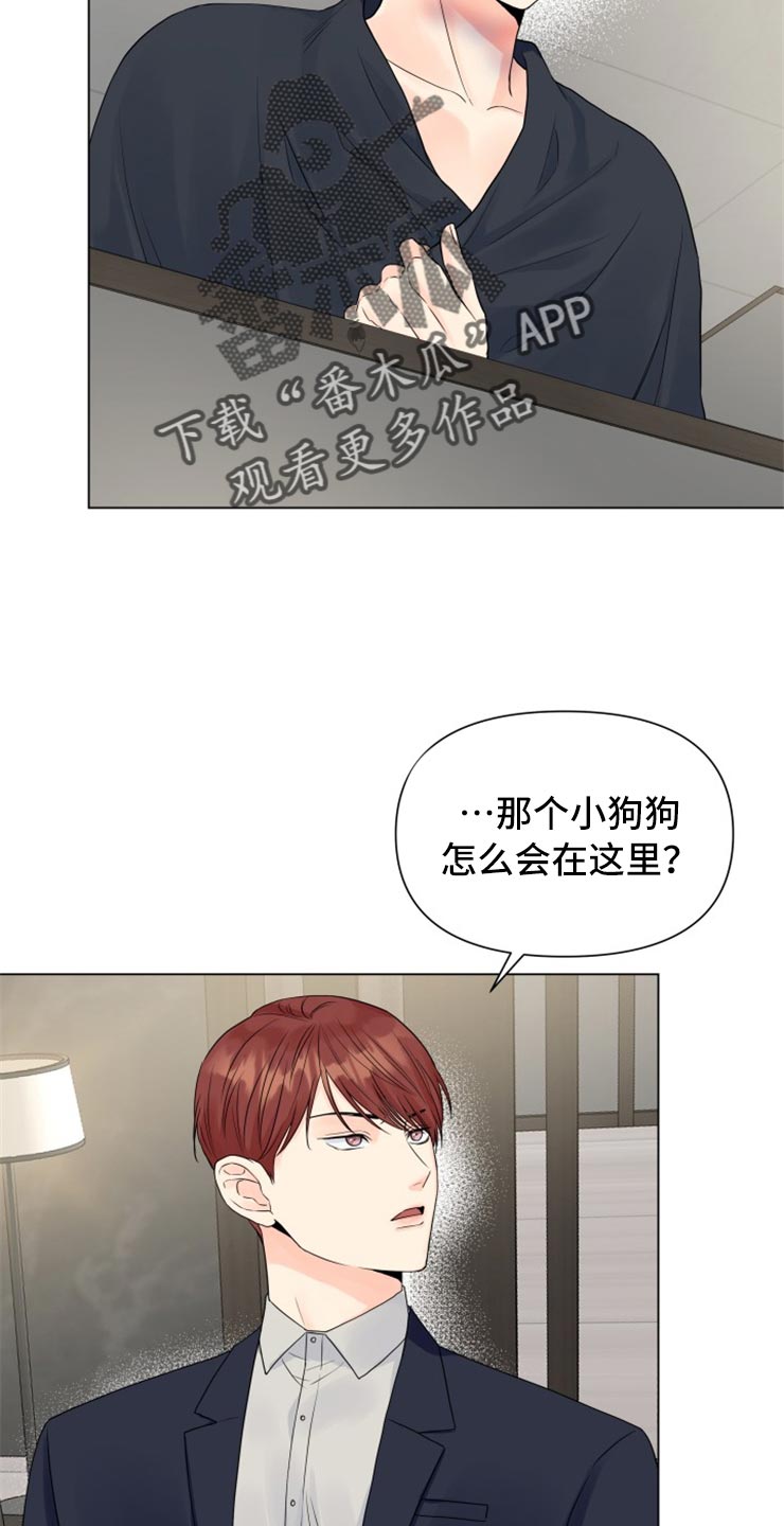 《掌中玫瑰》第50话 第10页