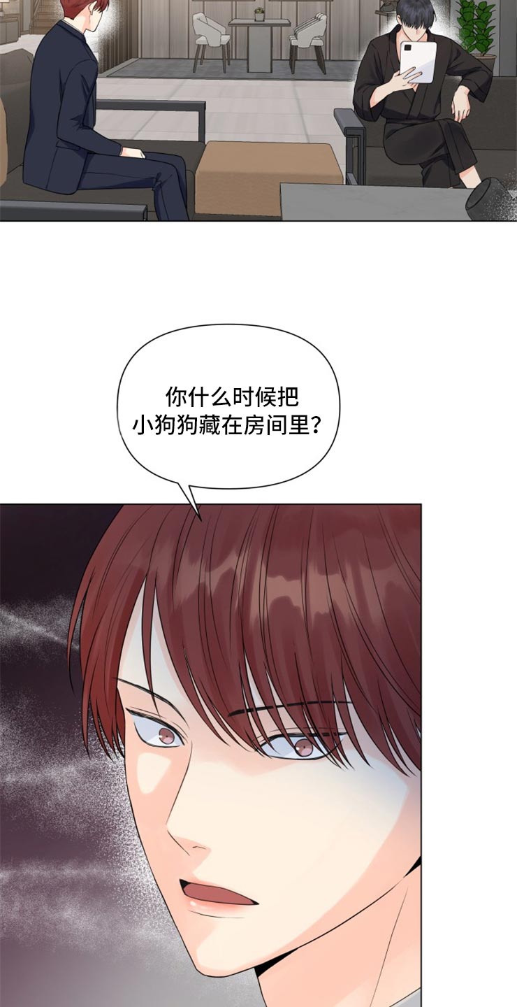 《掌中玫瑰》第50话 第13页