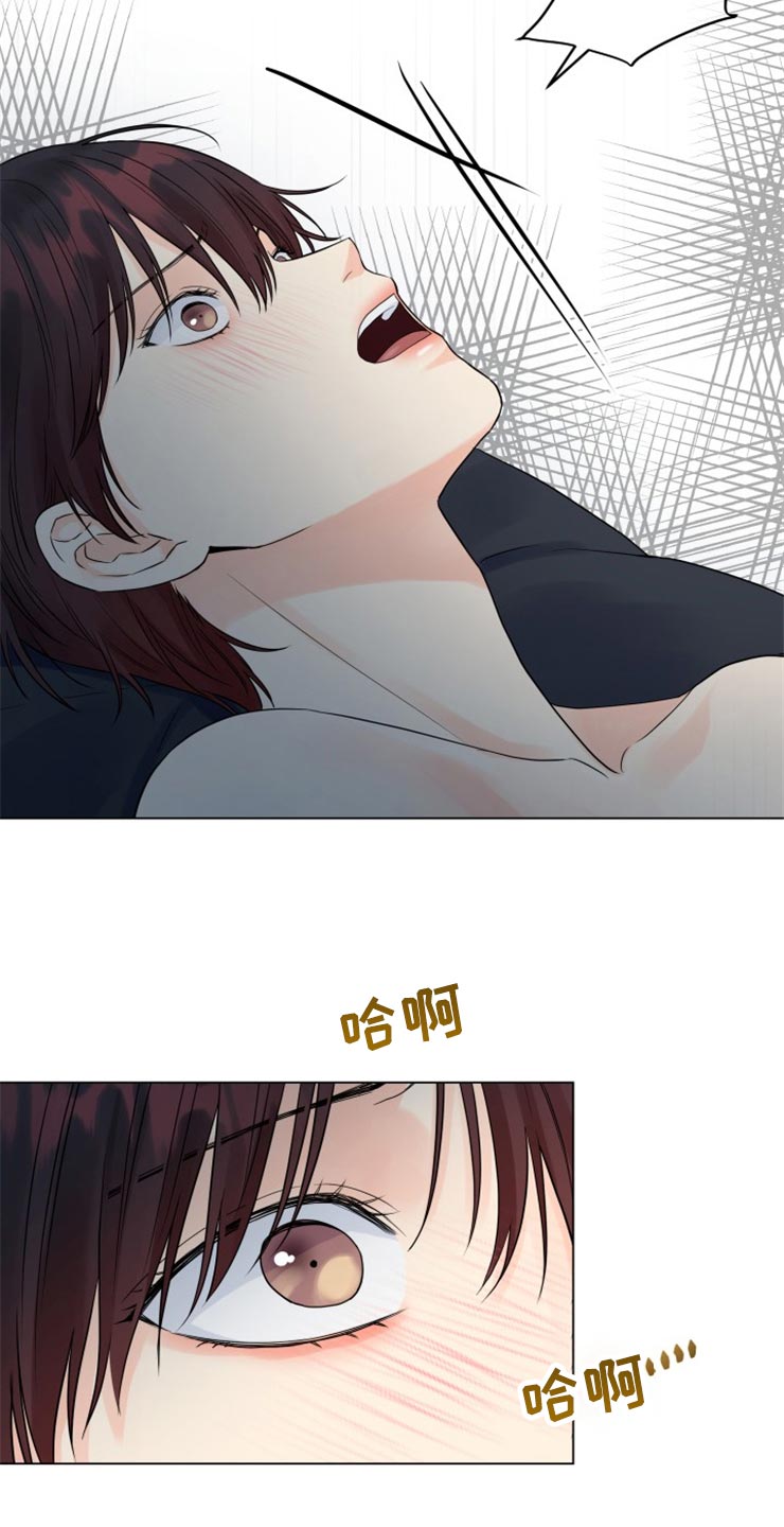 《掌中玫瑰》第50话 第3页