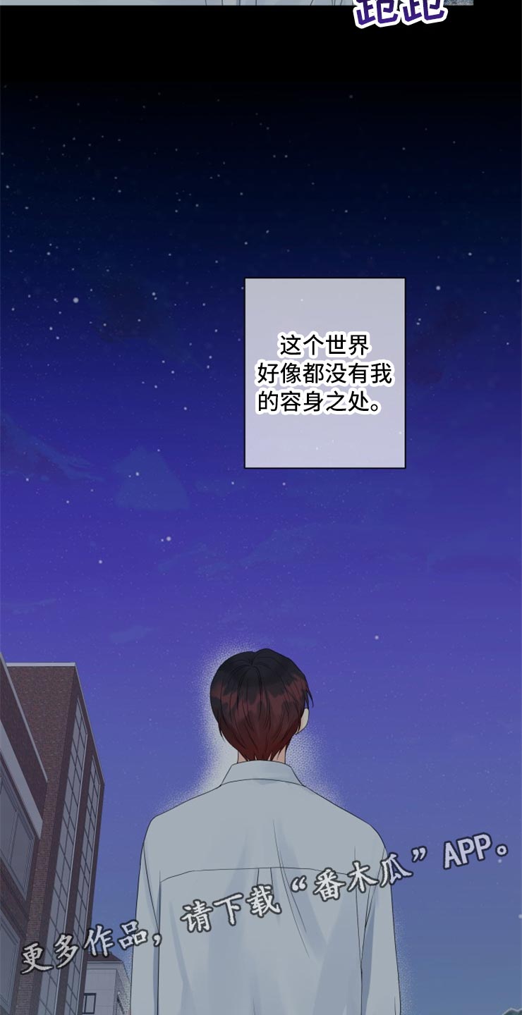 《掌中玫瑰》第52话 第28页