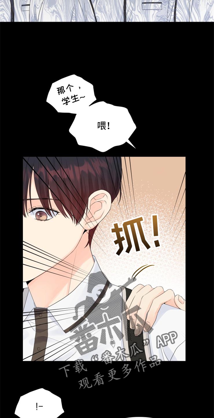 《掌中玫瑰》第52话 第5页