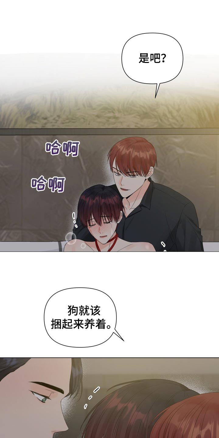 《掌中玫瑰》第58话 第17页