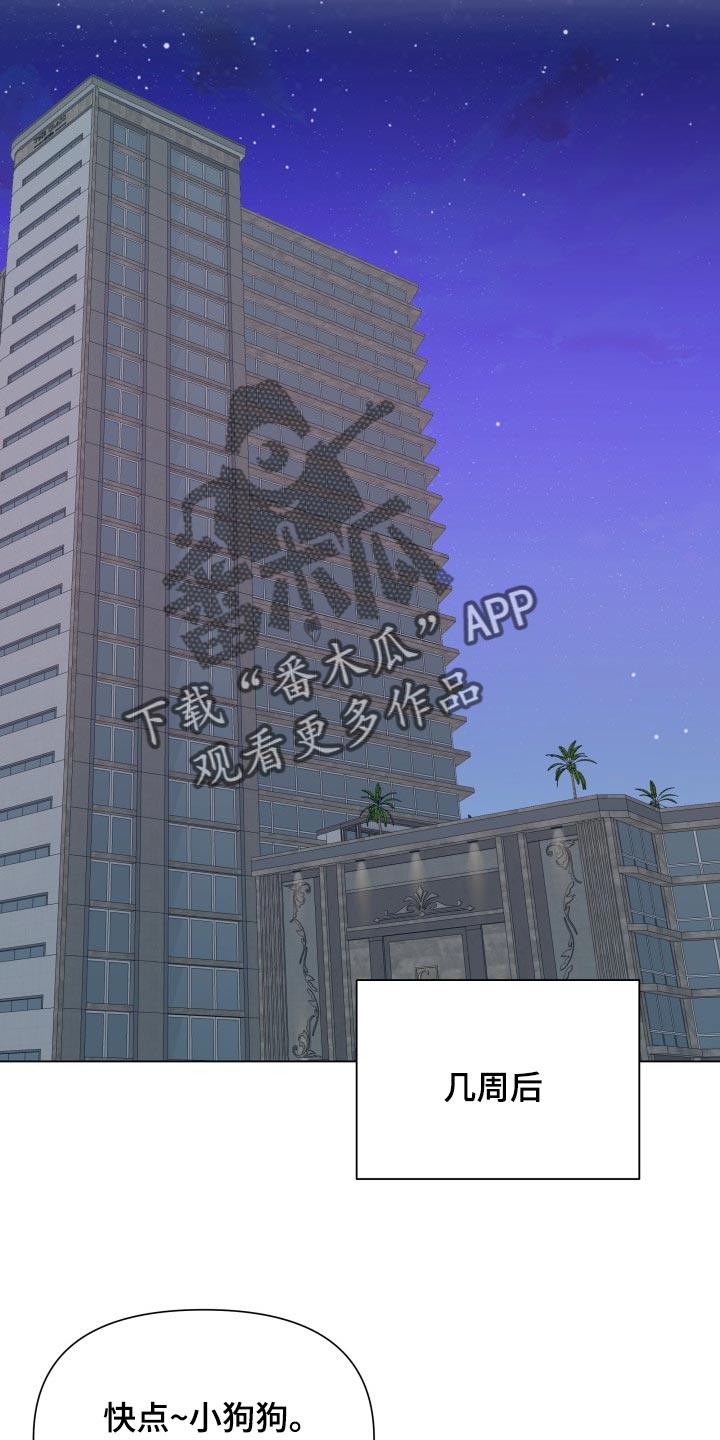 《掌中玫瑰》第57话 第15页