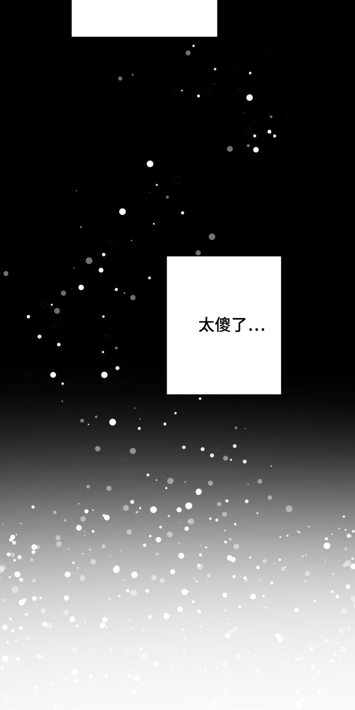 《掌中玫瑰》第65话 第11页