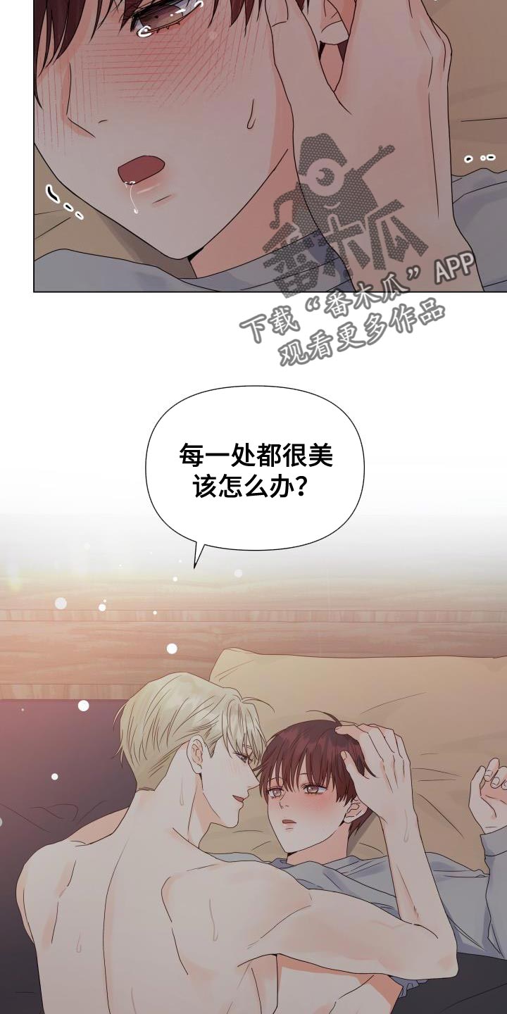 《掌中玫瑰》第81话 第13页