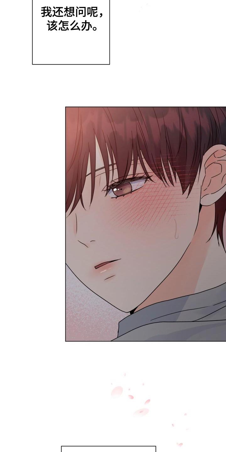 《掌中玫瑰》第81话 第15页
