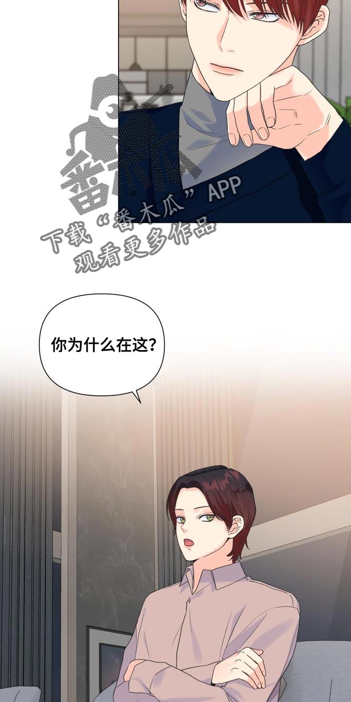 《掌中玫瑰》第86话 第19页