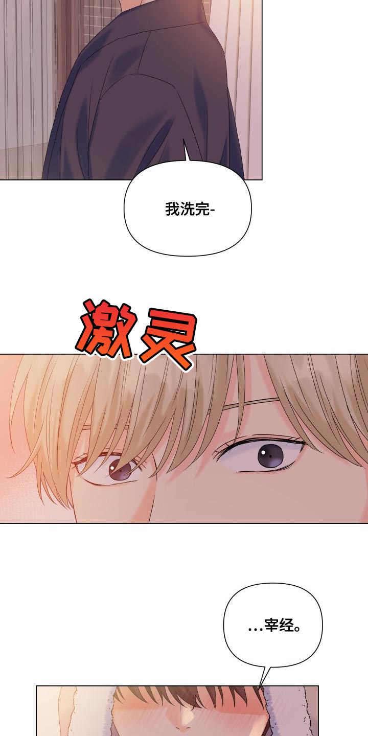 《掌中玫瑰》第93话 第13页