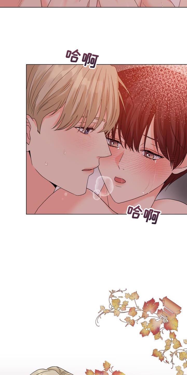 《掌中玫瑰》第94话 第12页