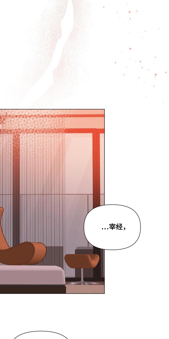 《掌中玫瑰》第94话 第14页