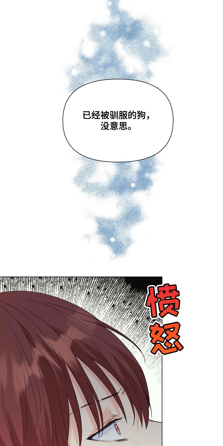 《掌中玫瑰》第102话 第4页