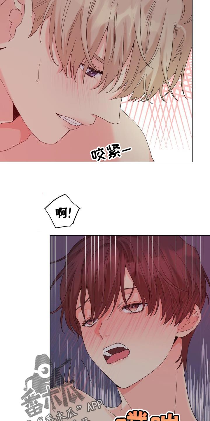 《掌中玫瑰》第104话 第15页