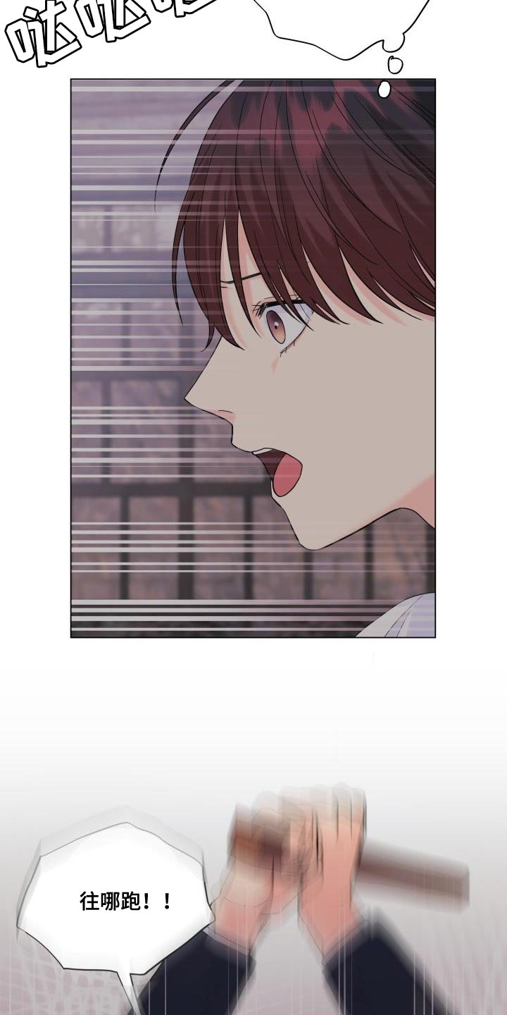 《掌中玫瑰》第110话 第13页