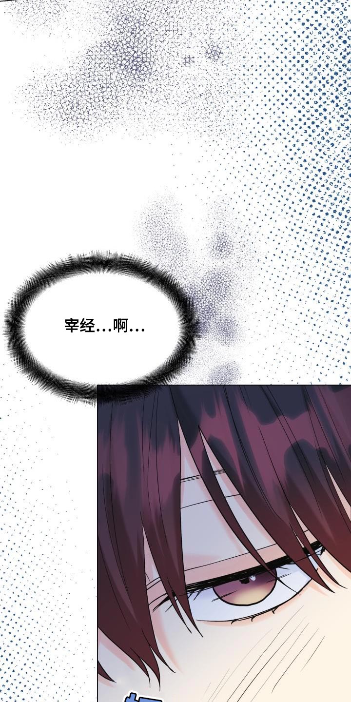 《掌中玫瑰》第108话 第16页