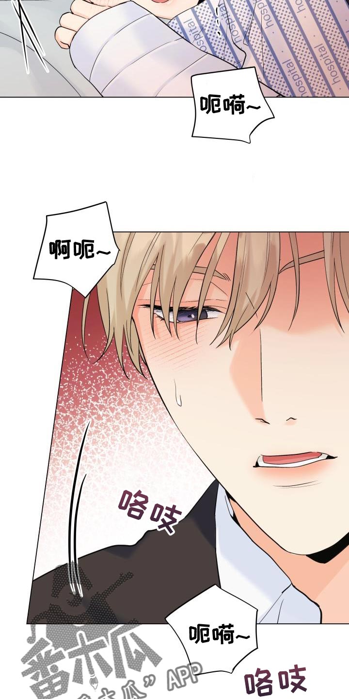 《掌中玫瑰》第113话 第12页