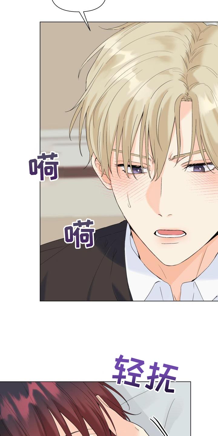 《掌中玫瑰》第113话 第19页