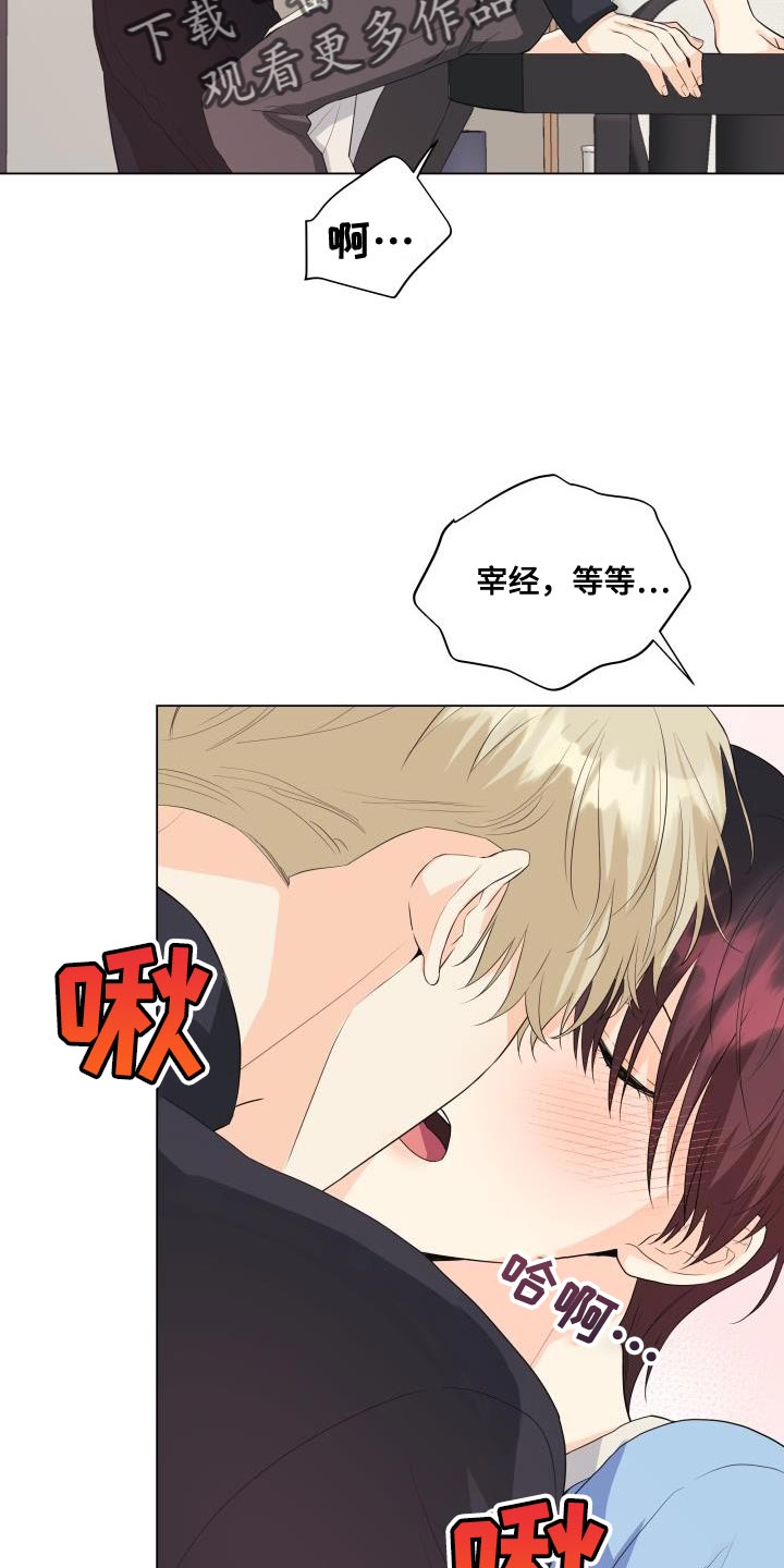 《掌中玫瑰》第119话 第20页