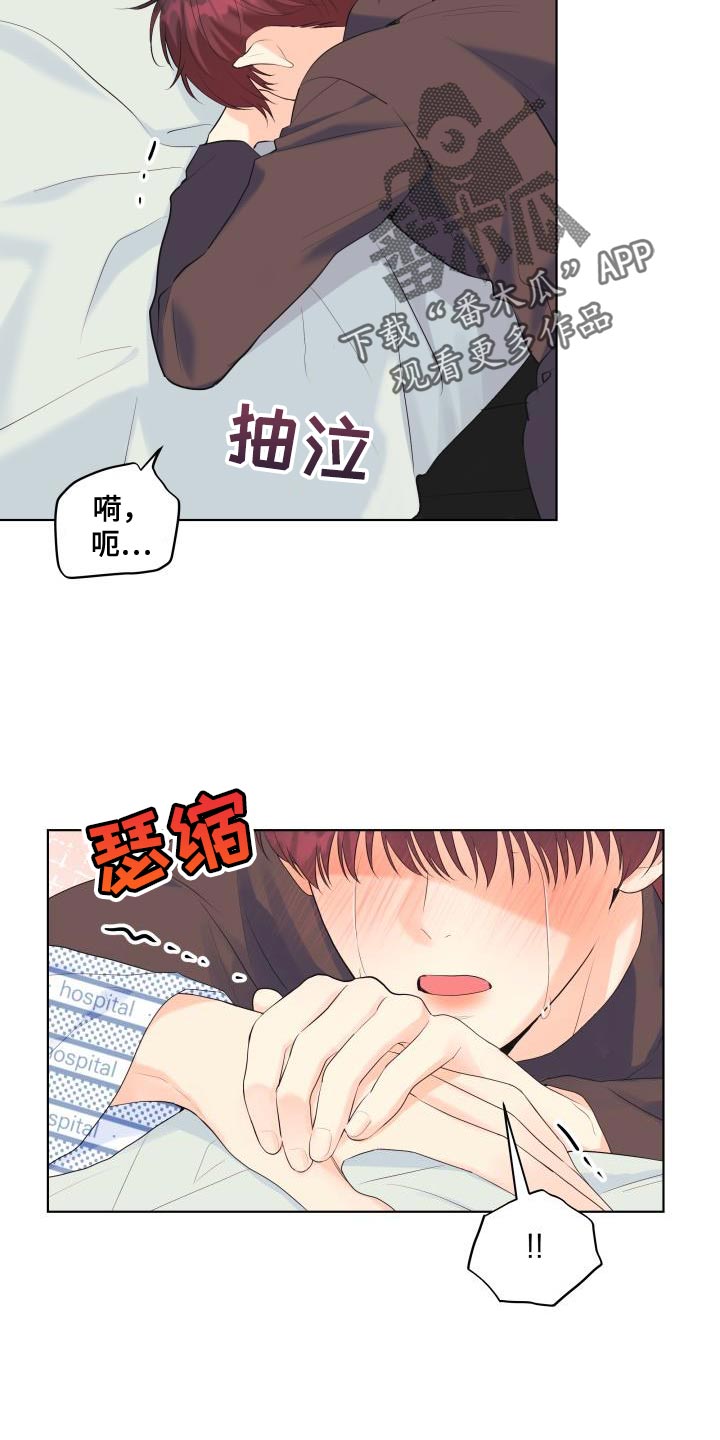 《掌中玫瑰》第124话 第20页