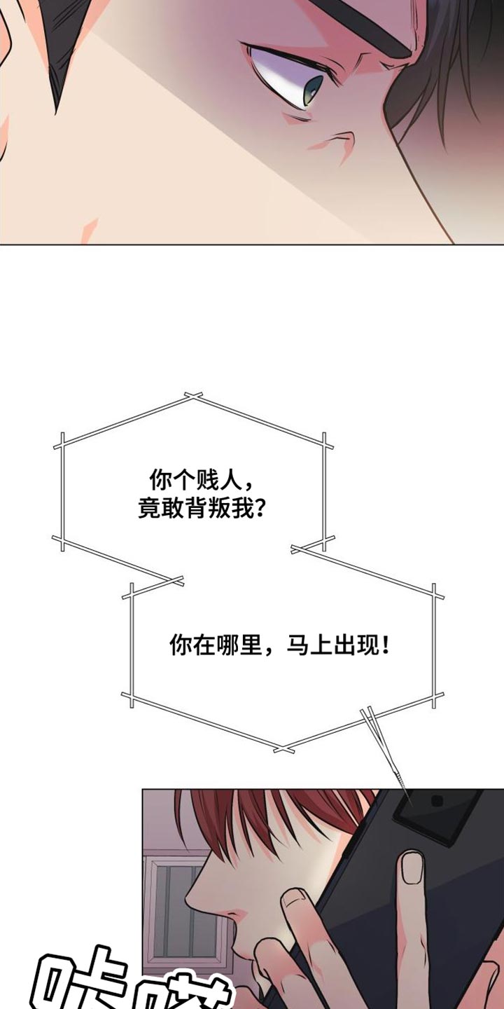 《掌中玫瑰》第135话 第12页