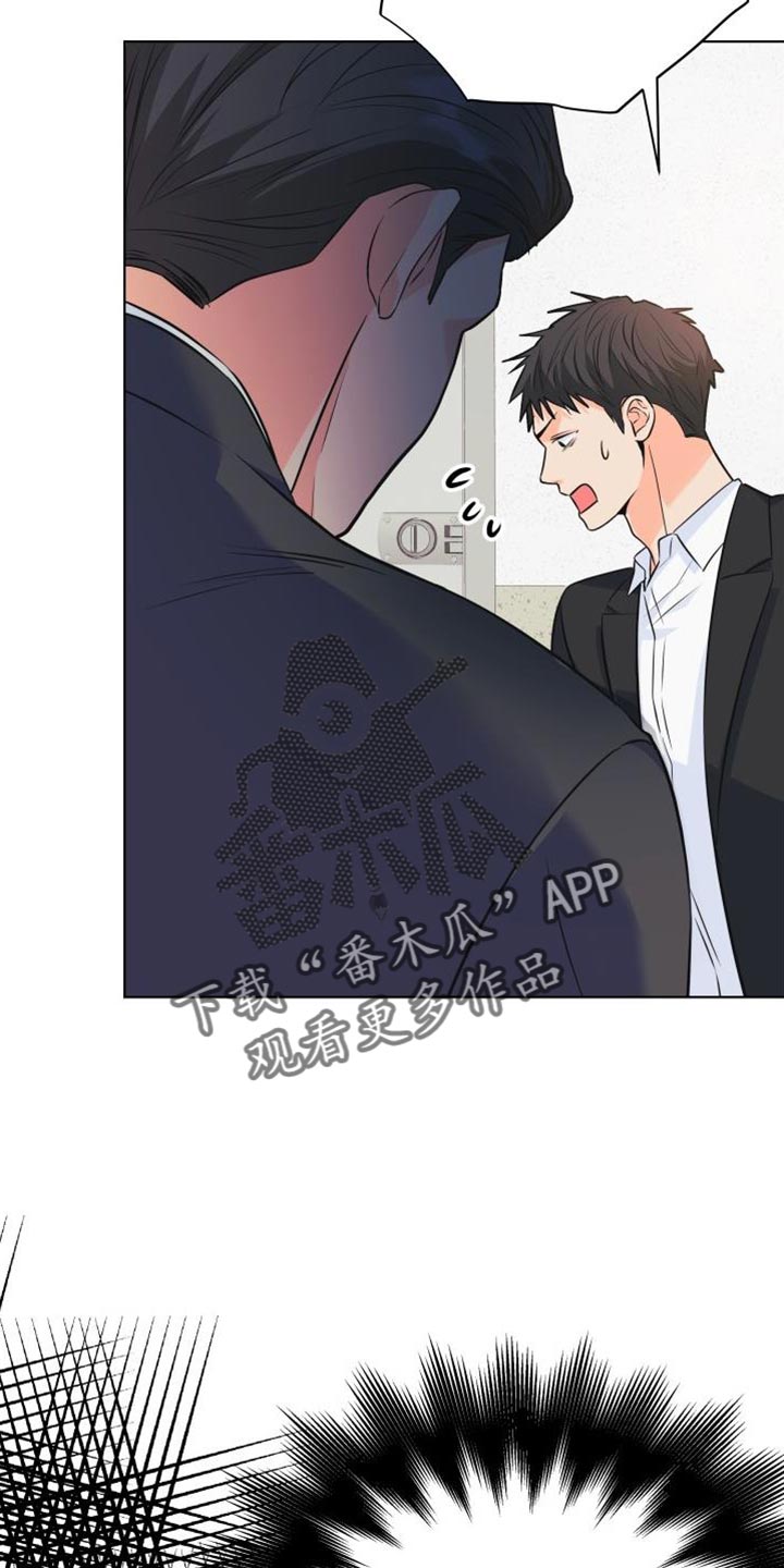 《掌中玫瑰》第135话 第19页