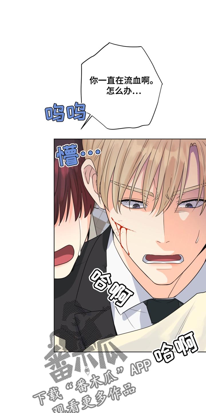 《掌中玫瑰》第139话 第1页