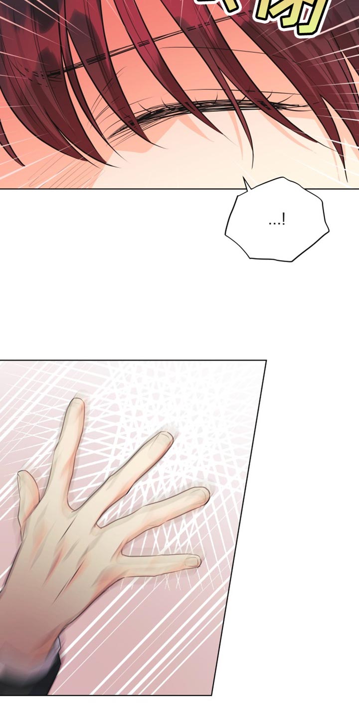 《掌中玫瑰》第138话 第13页