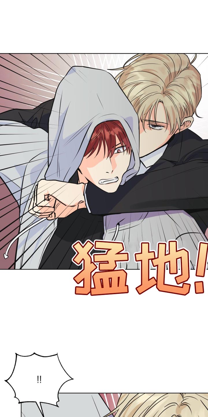 《掌中玫瑰》第138话 第14页