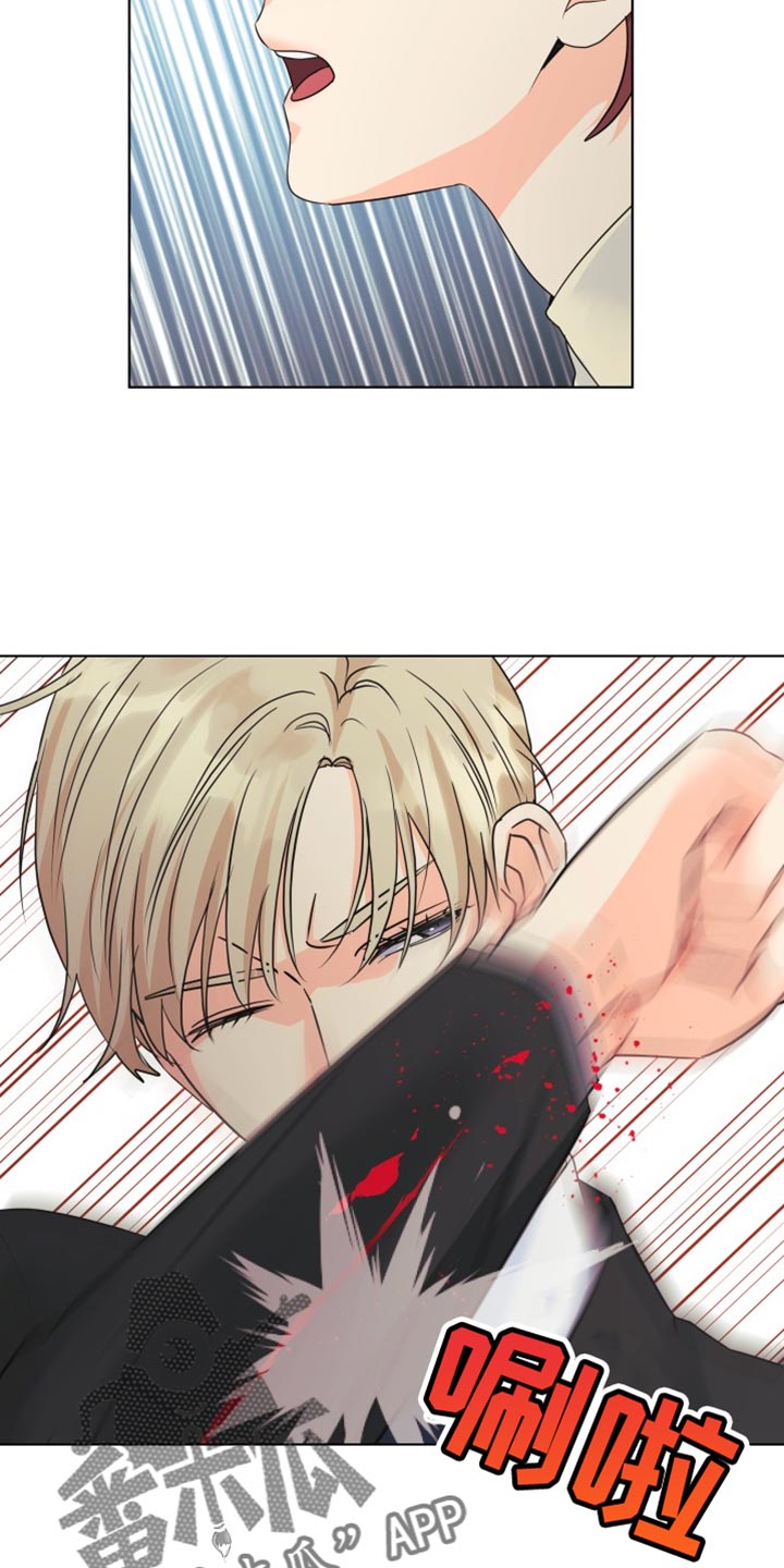 《掌中玫瑰》第138话 第16页