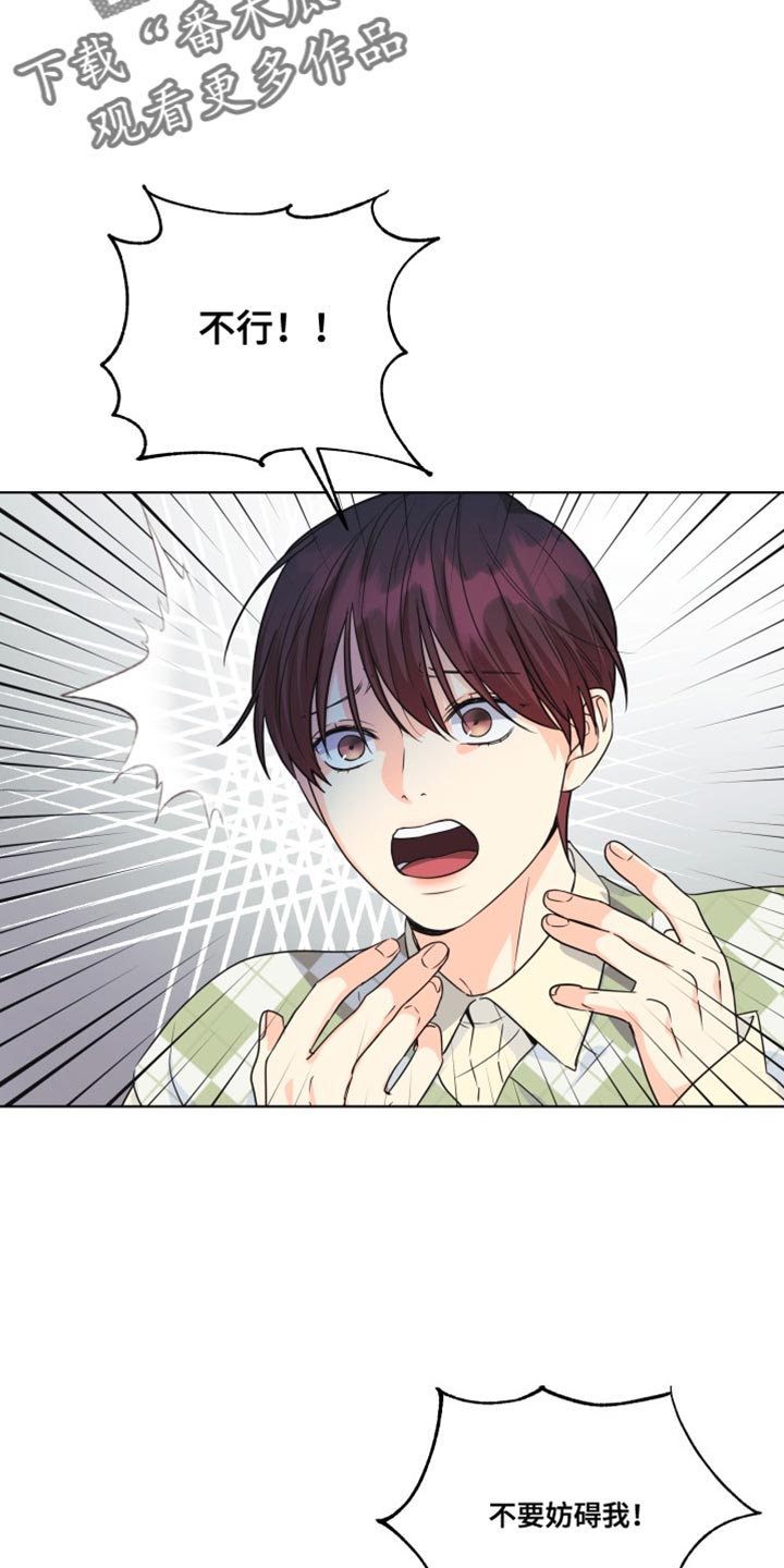 《掌中玫瑰》第138话 第17页
