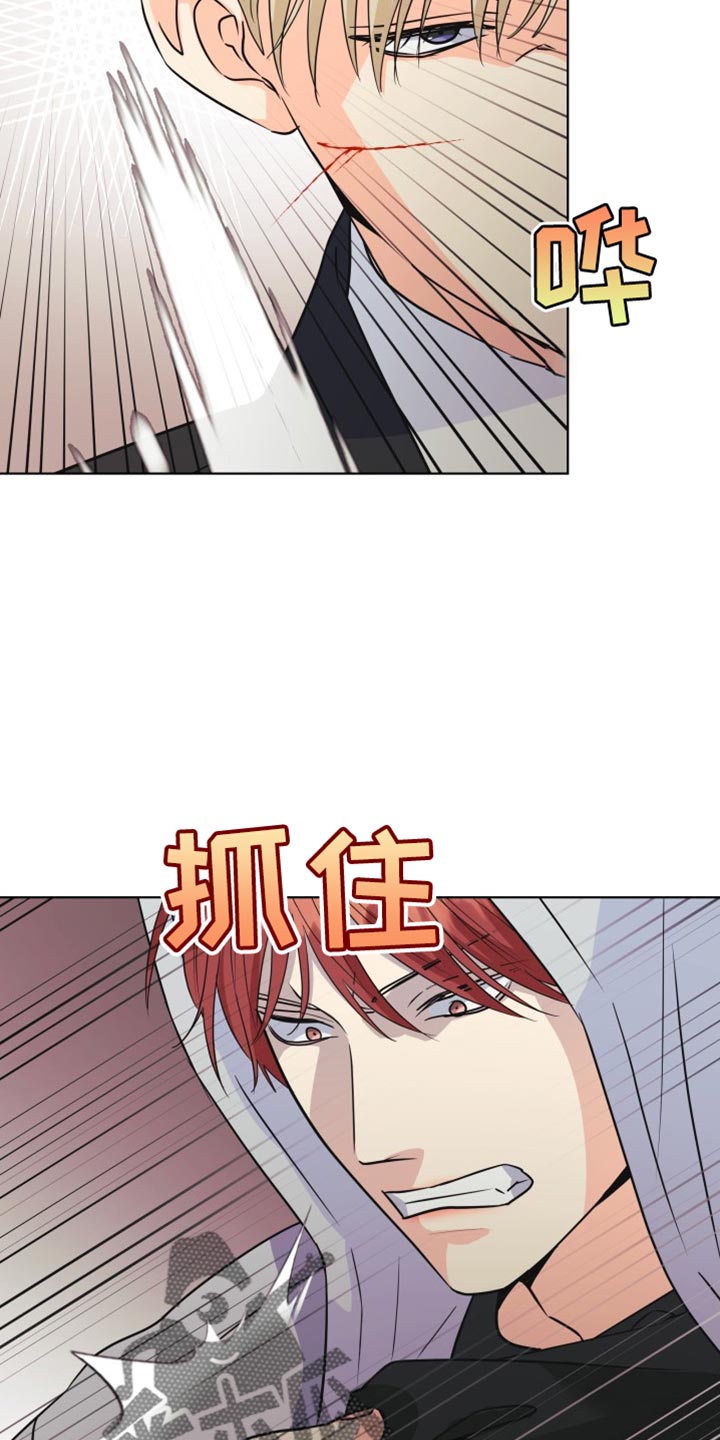 《掌中玫瑰》第138话 第19页