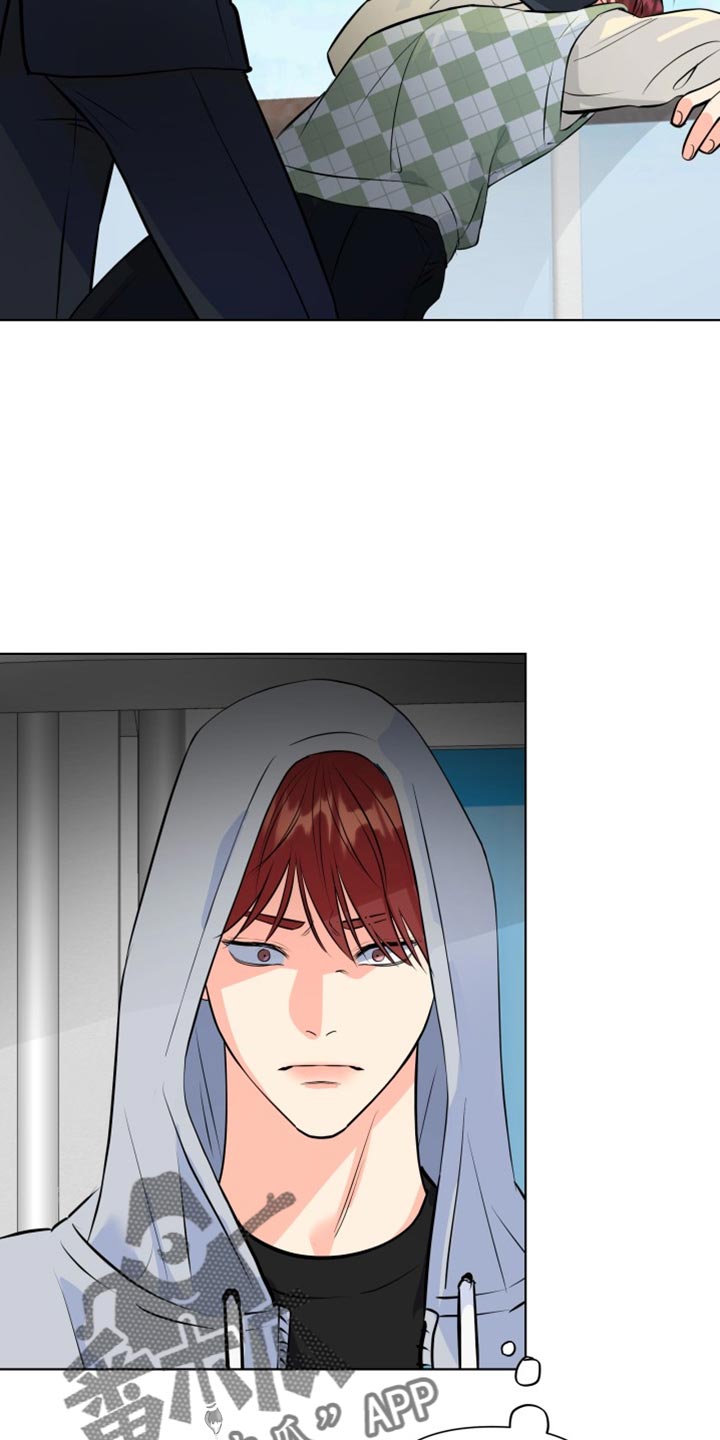 《掌中玫瑰》第137话 第13页