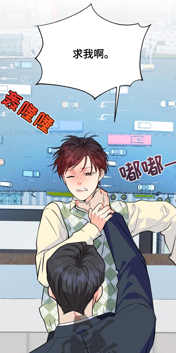 《掌中玫瑰》第136话 第17页