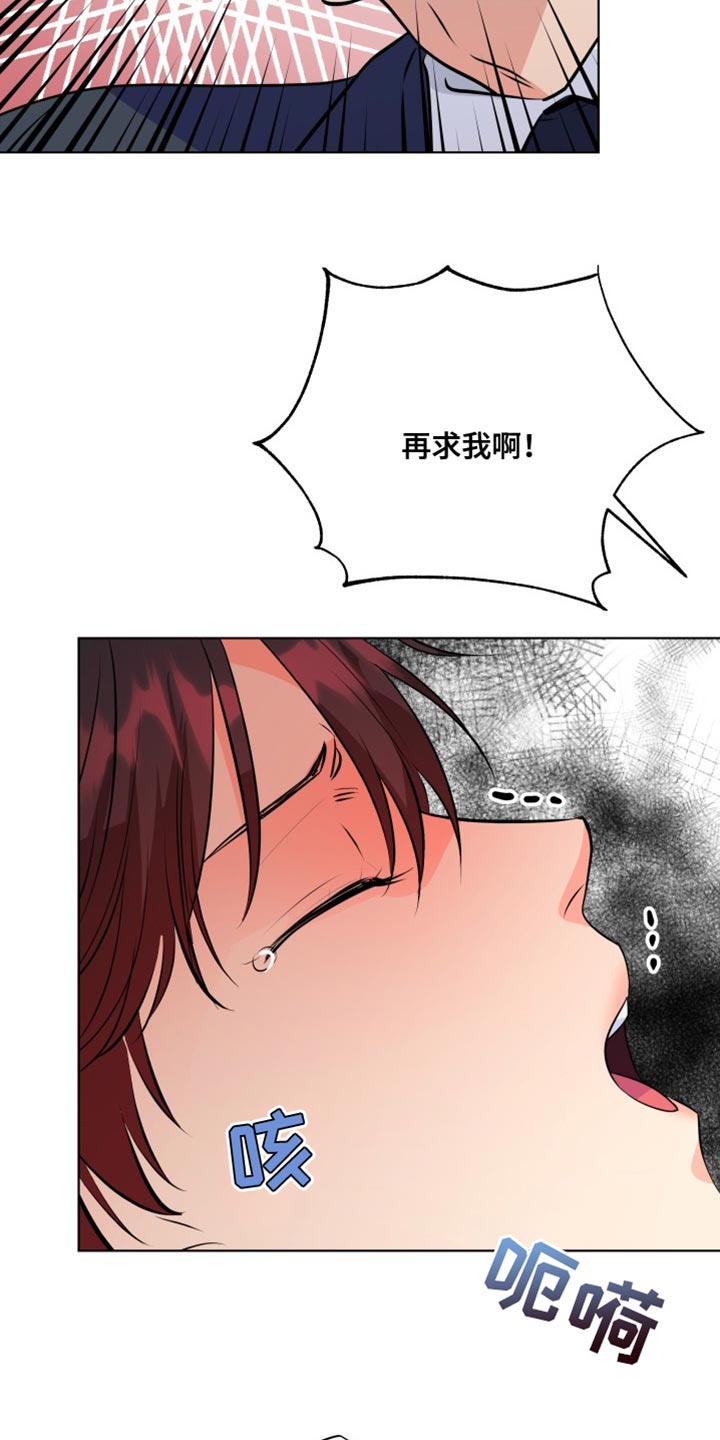 《掌中玫瑰》第136话 第19页