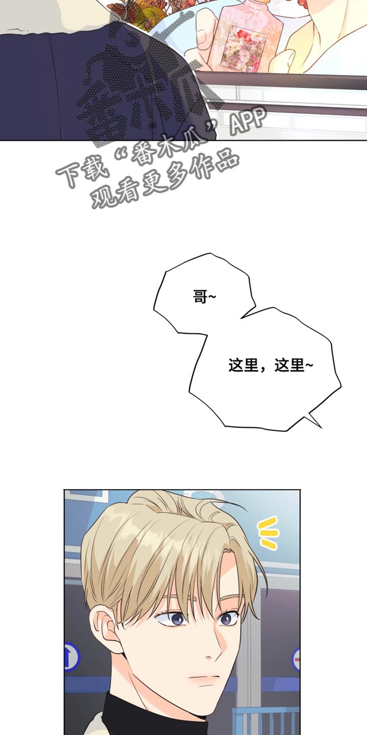 《掌中玫瑰》第141话 第19页