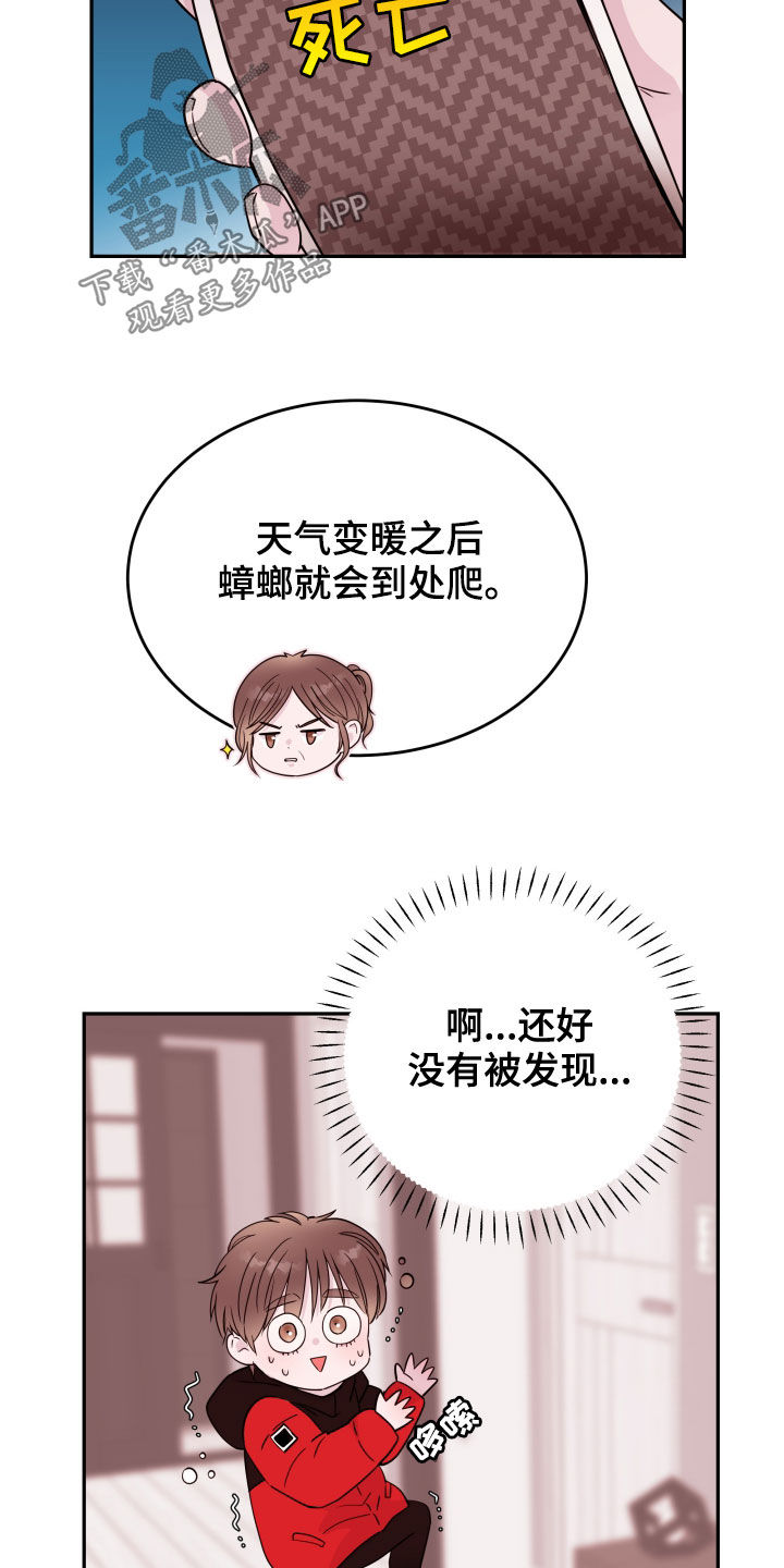 《危险小舅子》第43话 第6页