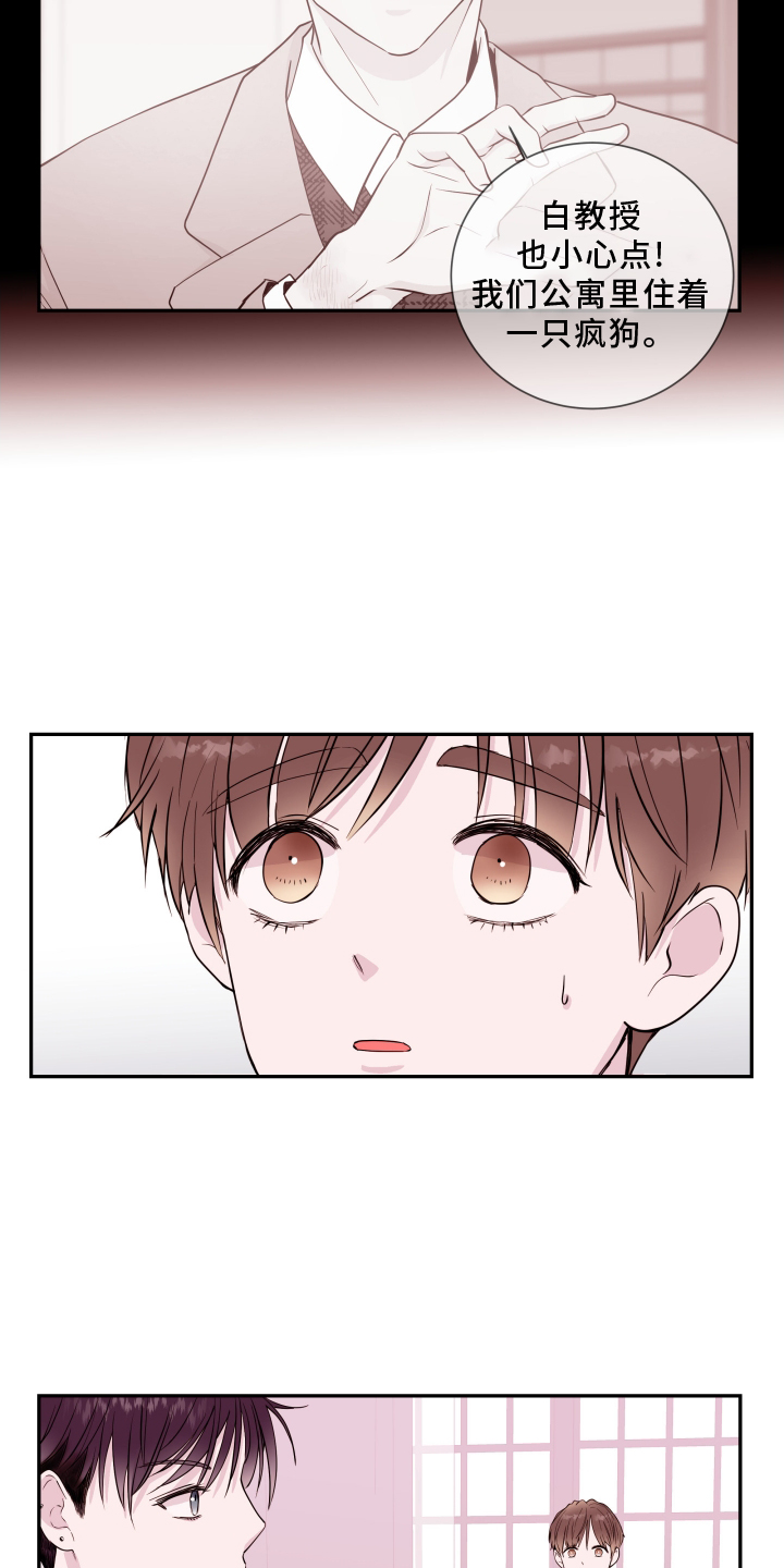 《危险小舅子》第86话 第9页