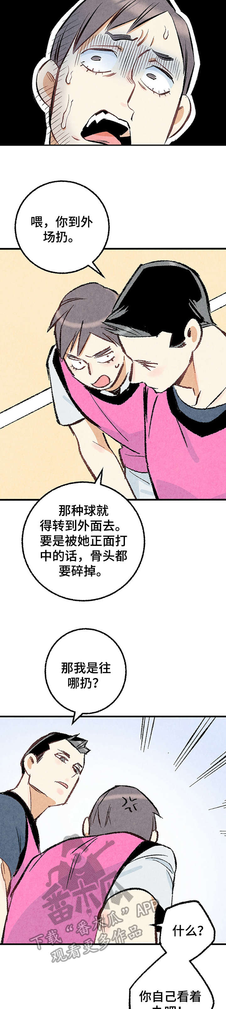 《完美伴侣》第19章躲避球 第14页