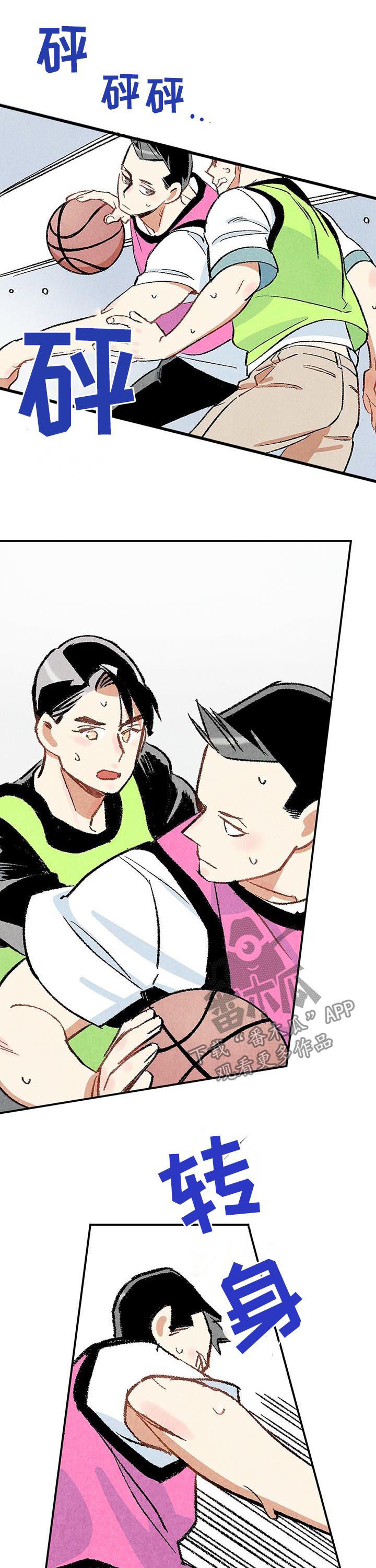 《完美伴侣》第21章篮球 第12页
