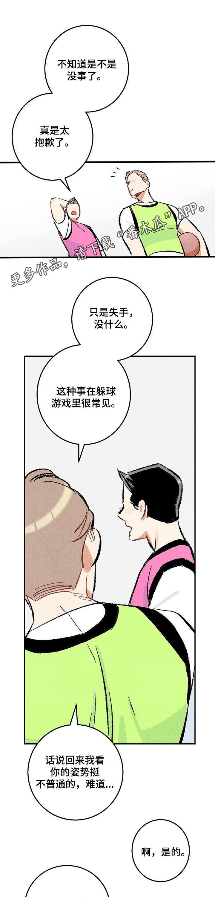 《完美伴侣》第21章篮球 第1页