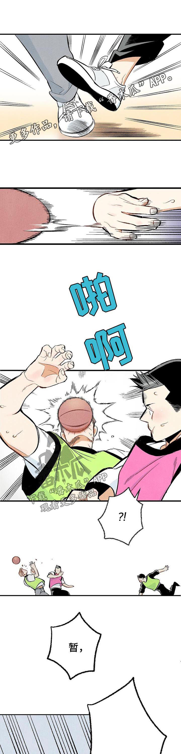 《完美伴侣》第23章多亲近一下 第1页