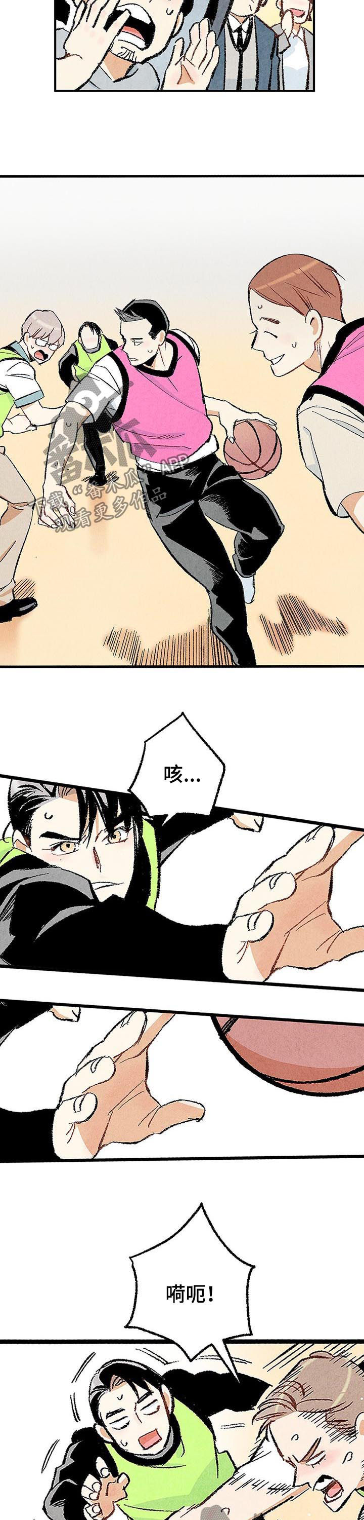 《完美伴侣》第22章对峙 第5页