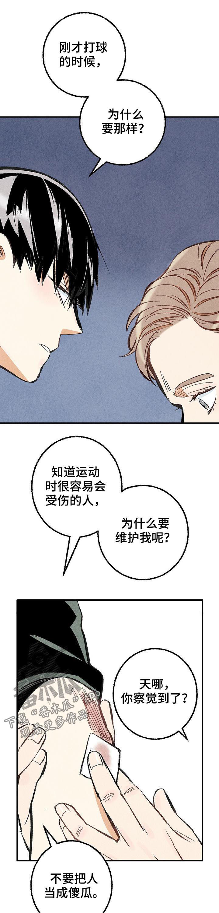 《完美伴侣》第25章擦药 第11页