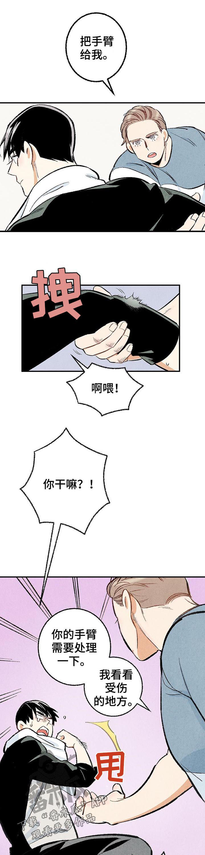 《完美伴侣》第25章擦药 第5页