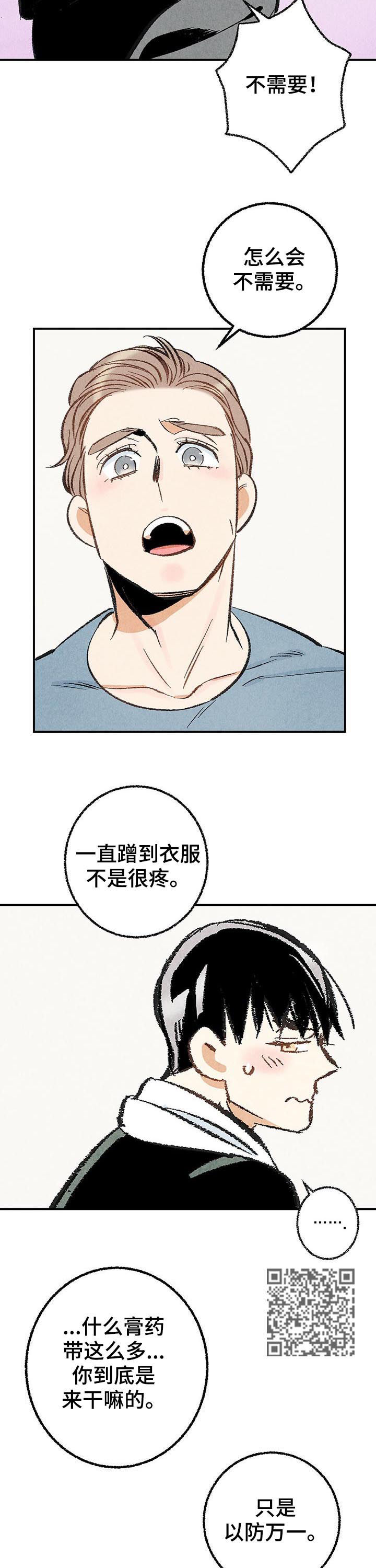 《完美伴侣》第25章擦药 第6页