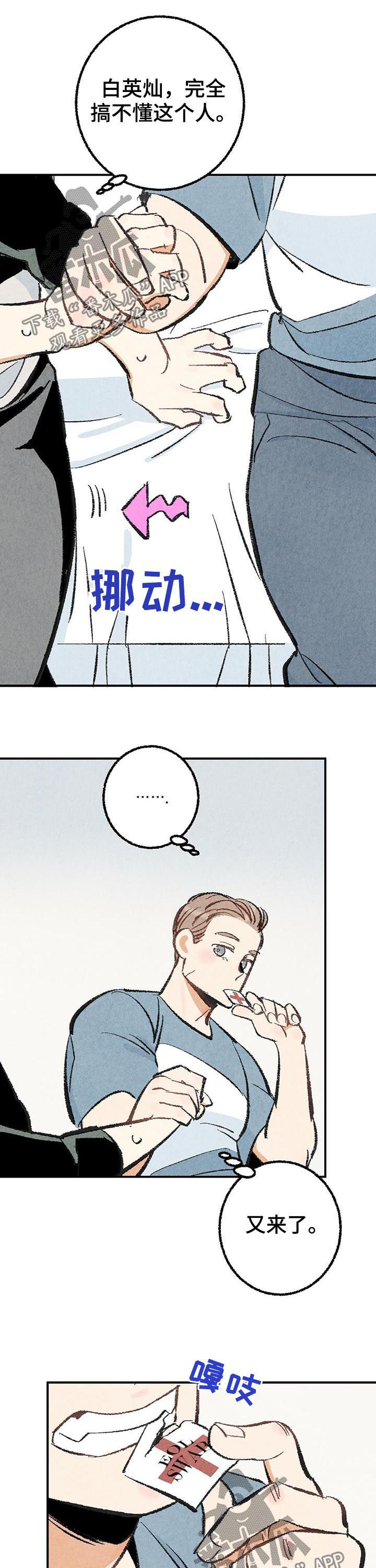 《完美伴侣》第25章擦药 第8页