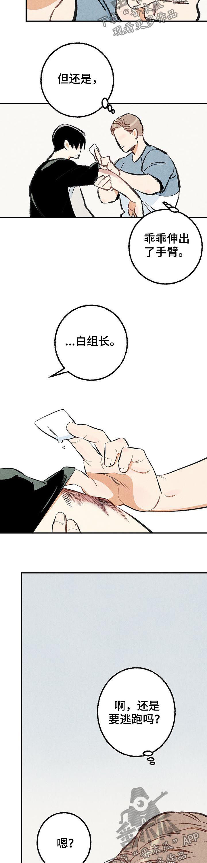 《完美伴侣》第25章擦药 第9页