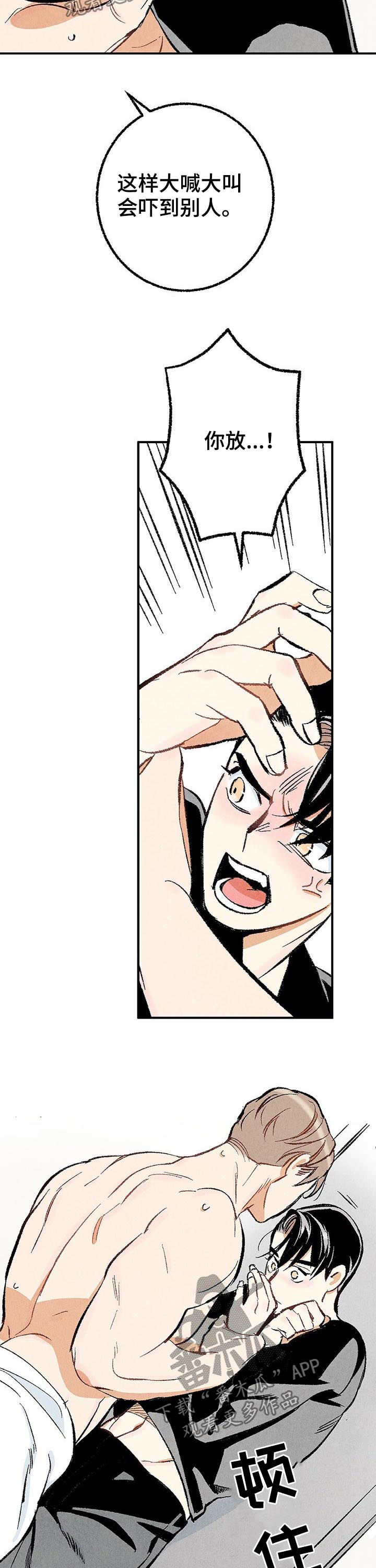 《完美伴侣》第24章共处一室 第5页