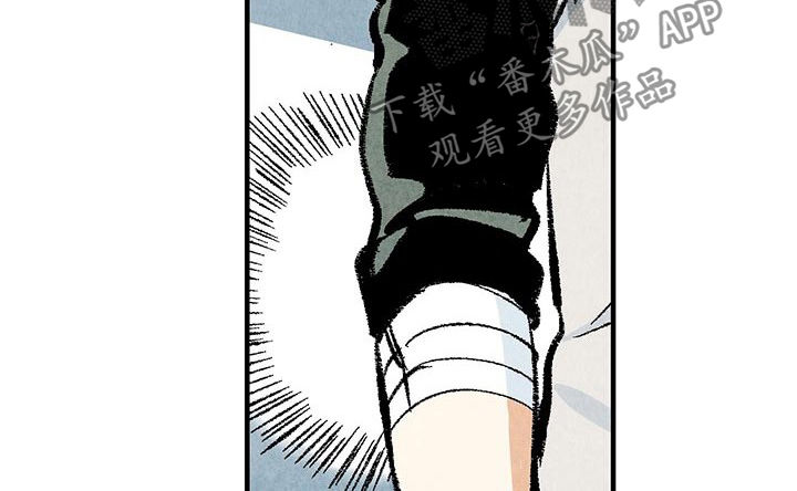 《完美伴侣》第28章抱歉 第6页