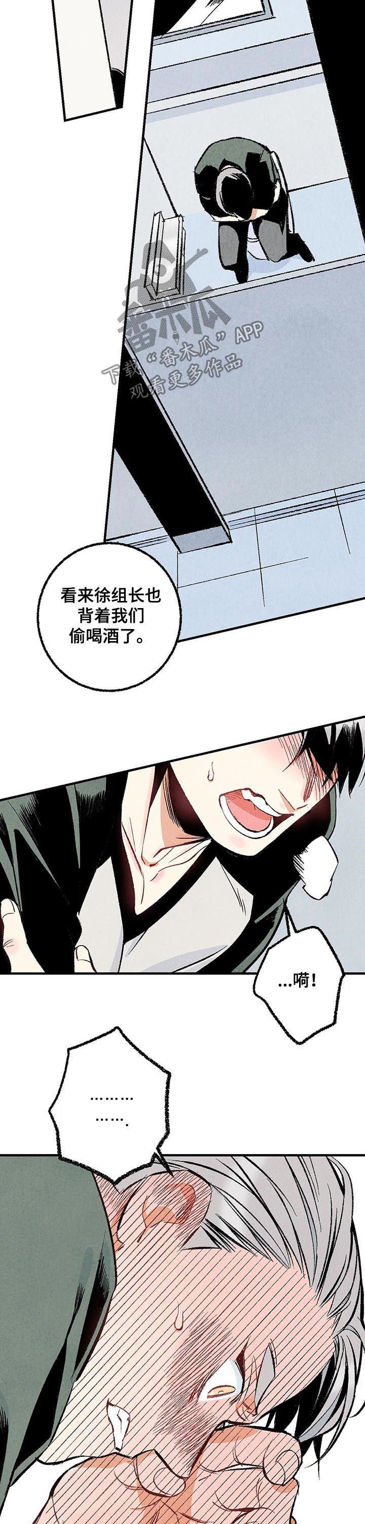 《完美伴侣》第30章偷喝酒 第11页