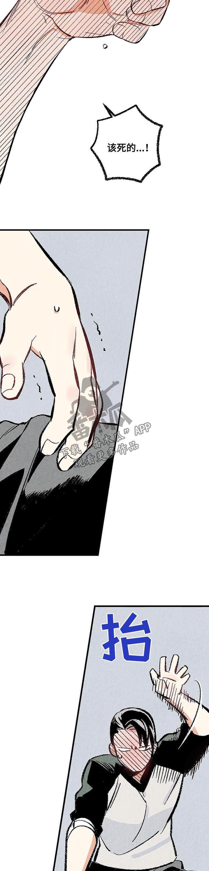 《完美伴侣》第30章偷喝酒 第12页